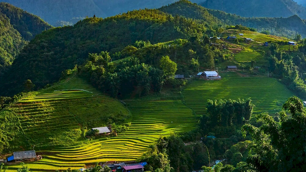 Immerse yourself in nature, and enjoy the peaceful ambiance of Cat Cat Village, where time seems to stand still